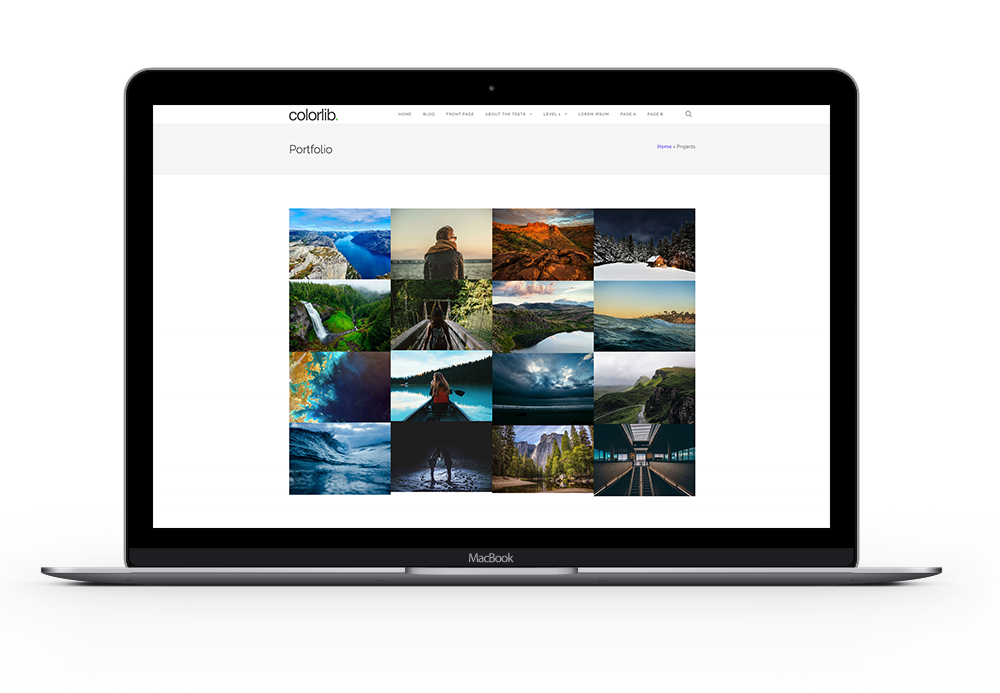 Portfolio Section